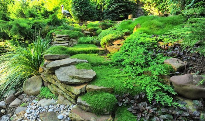 Благоустройство и озеленение