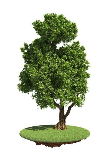 Разнообразный и богатый опыт