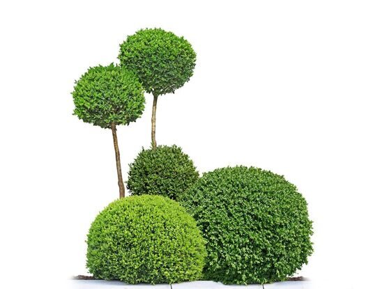 Разнообразный и богатый опыт